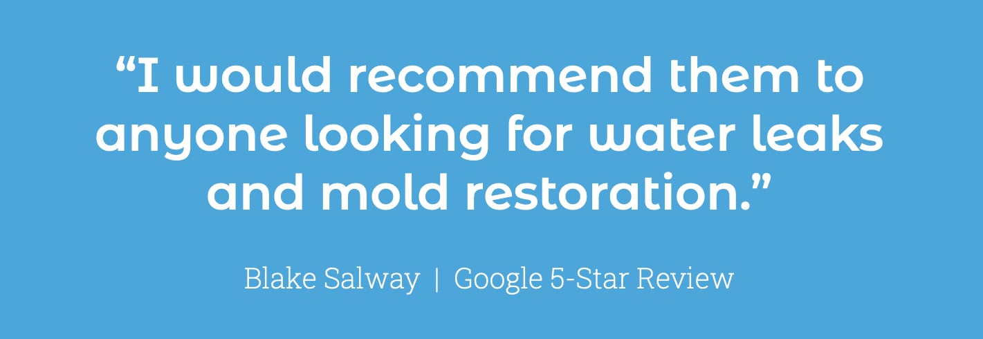 Quote Snippet_Blake_Google