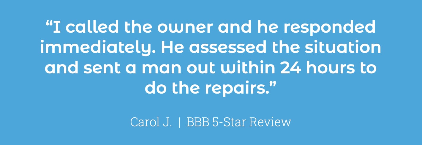 Quote Snippet_Carol2