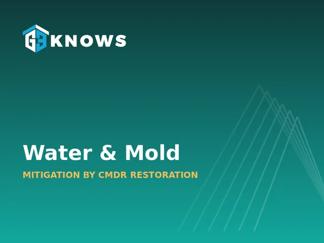 Water and mold restoration
